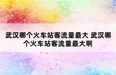 武汉哪个火车站客流量最大 武汉哪个火车站客流量最大啊